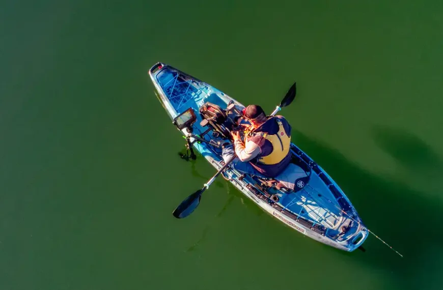 Expert Kayak Navigation