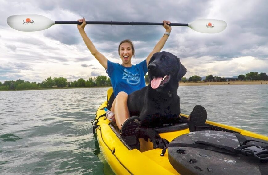 Can Dogs Go On Inflatable Kayaks